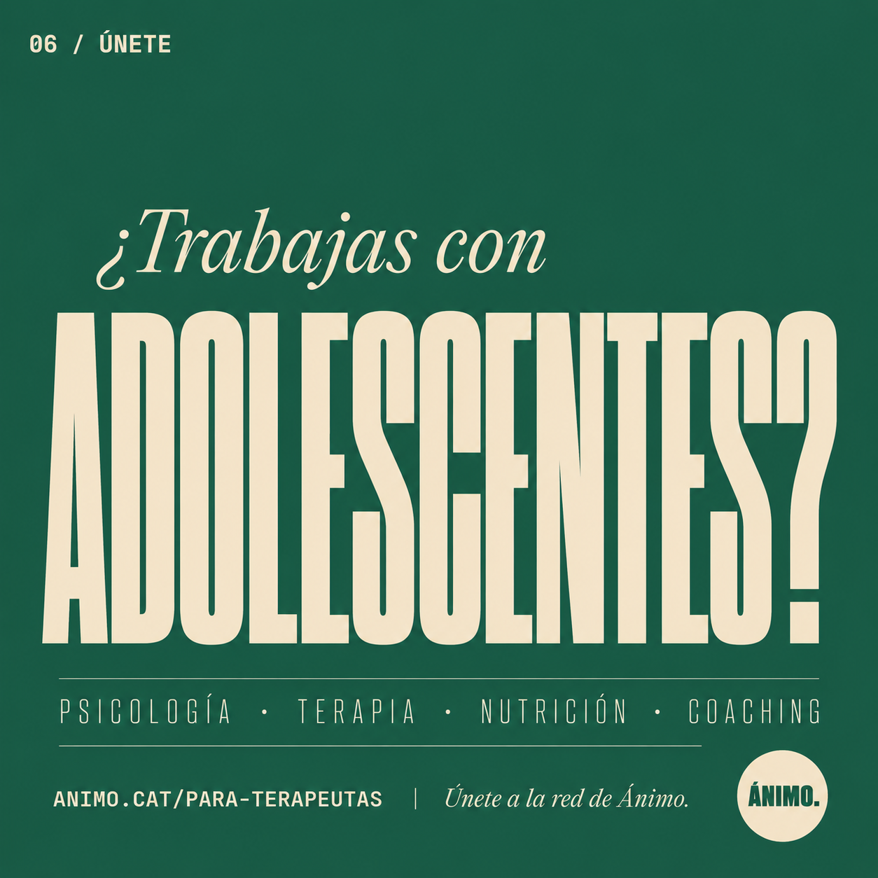 Estrenamos Noticias y comunidad